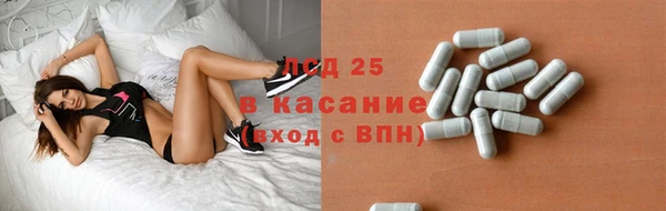spice Дмитриев