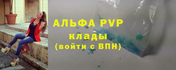 spice Дмитриев