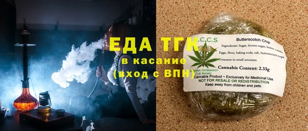 spice Дмитриев