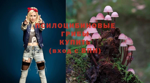 ешки Дмитров