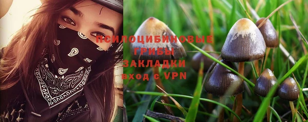 ешки Дмитров