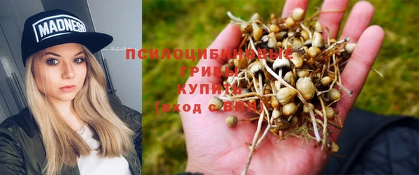 spice Дмитриев